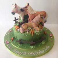 Horse birthday cake