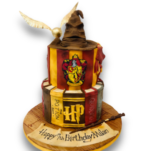 A Harry Potter Birthday Cake for the best Husband in the world! – Hours of  Fun