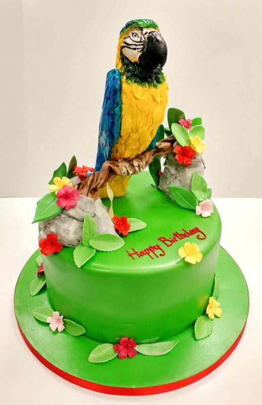 Animal Birthday Cakes | Cakes by Robin